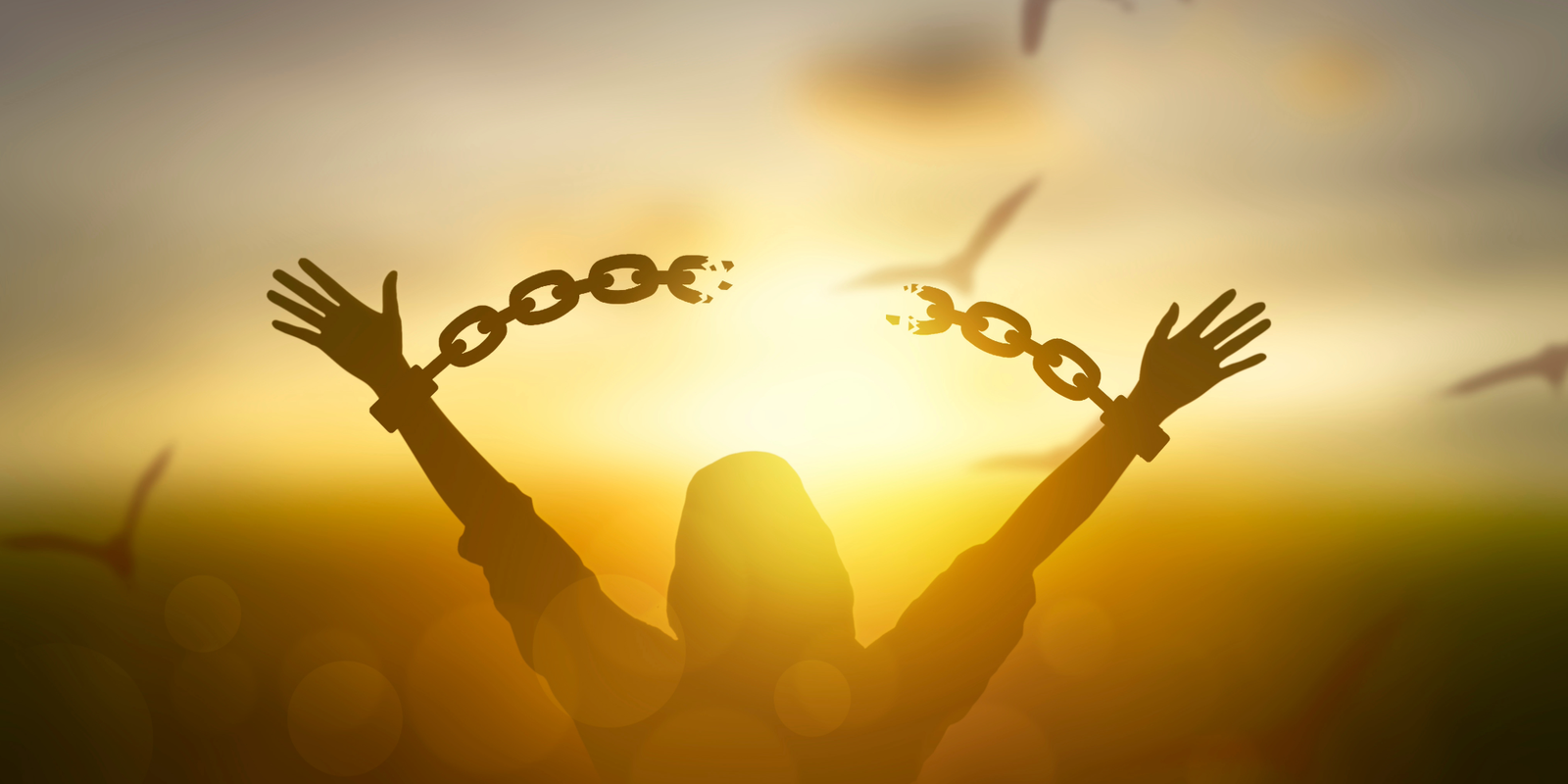 B.R.U.T.A.L. Freedom: 6 Hard Truths to Reinvent Your Life